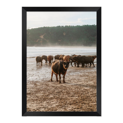 Buffalo Beach Print