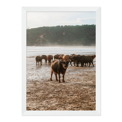 Buffalo Beach Print