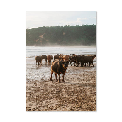 Buffalo Beach Print