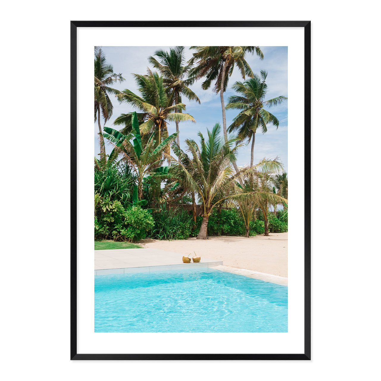Framed artwork of coconuts by the pool with palm trees in the background.