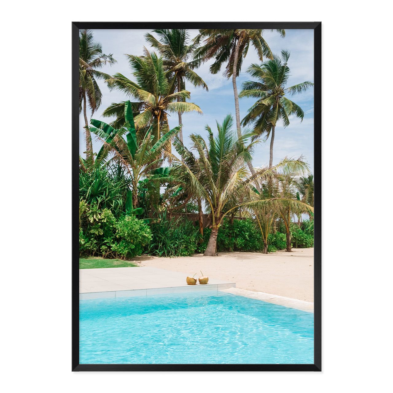 Framed artwork of coconuts by the pool with palm trees in the background.
