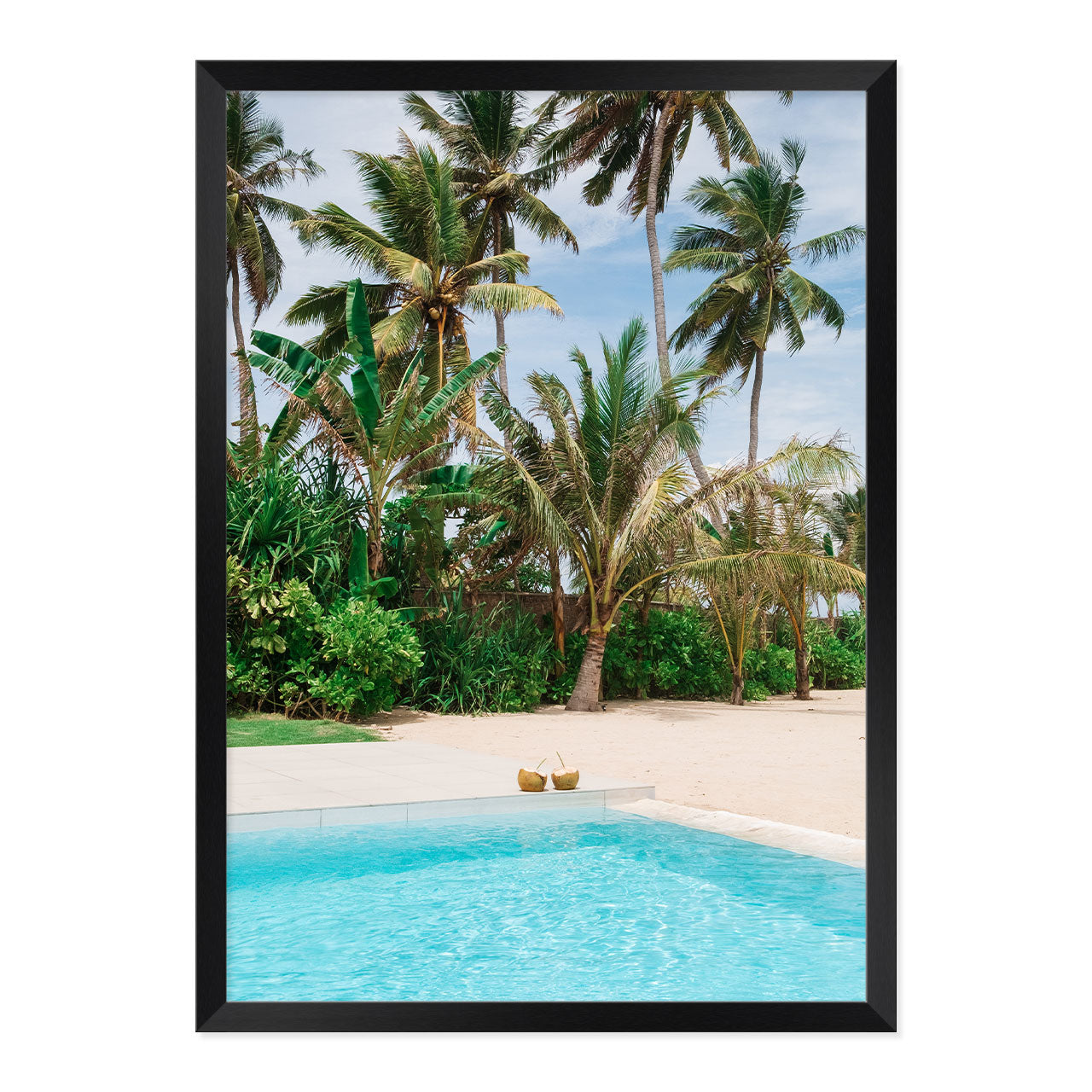 Framed artwork of coconuts by the pool with palm trees in the background.