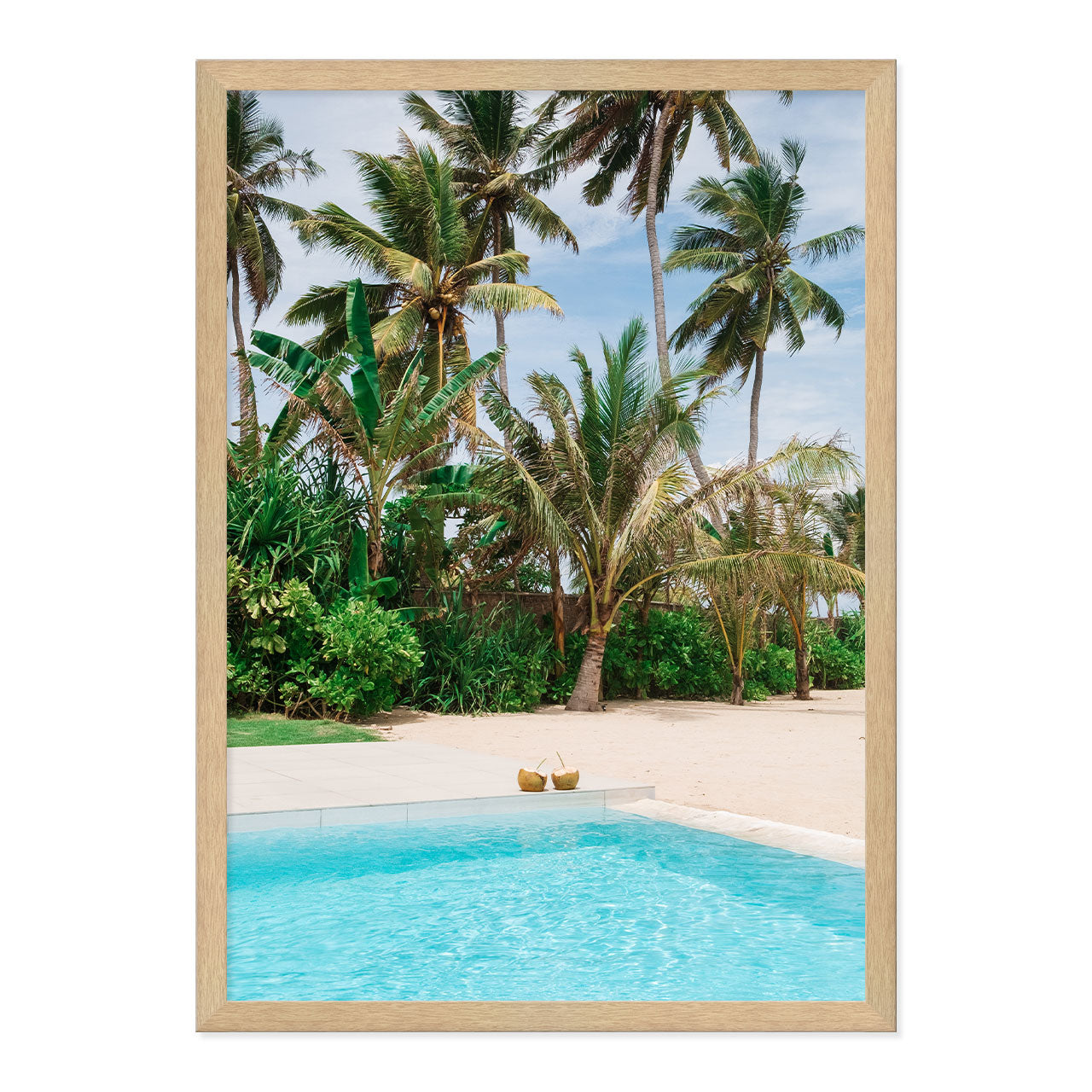 Framed artwork of coconuts by the pool with palm trees in the background.