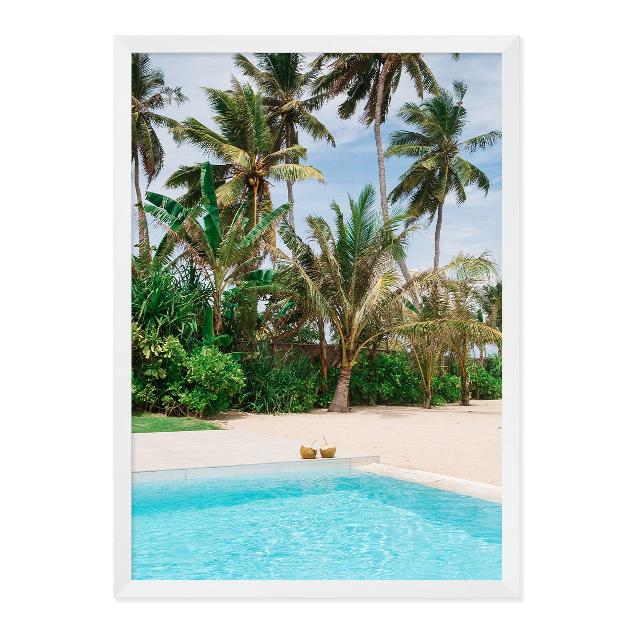 Framed artwork of coconuts by the pool with palm trees in the background.