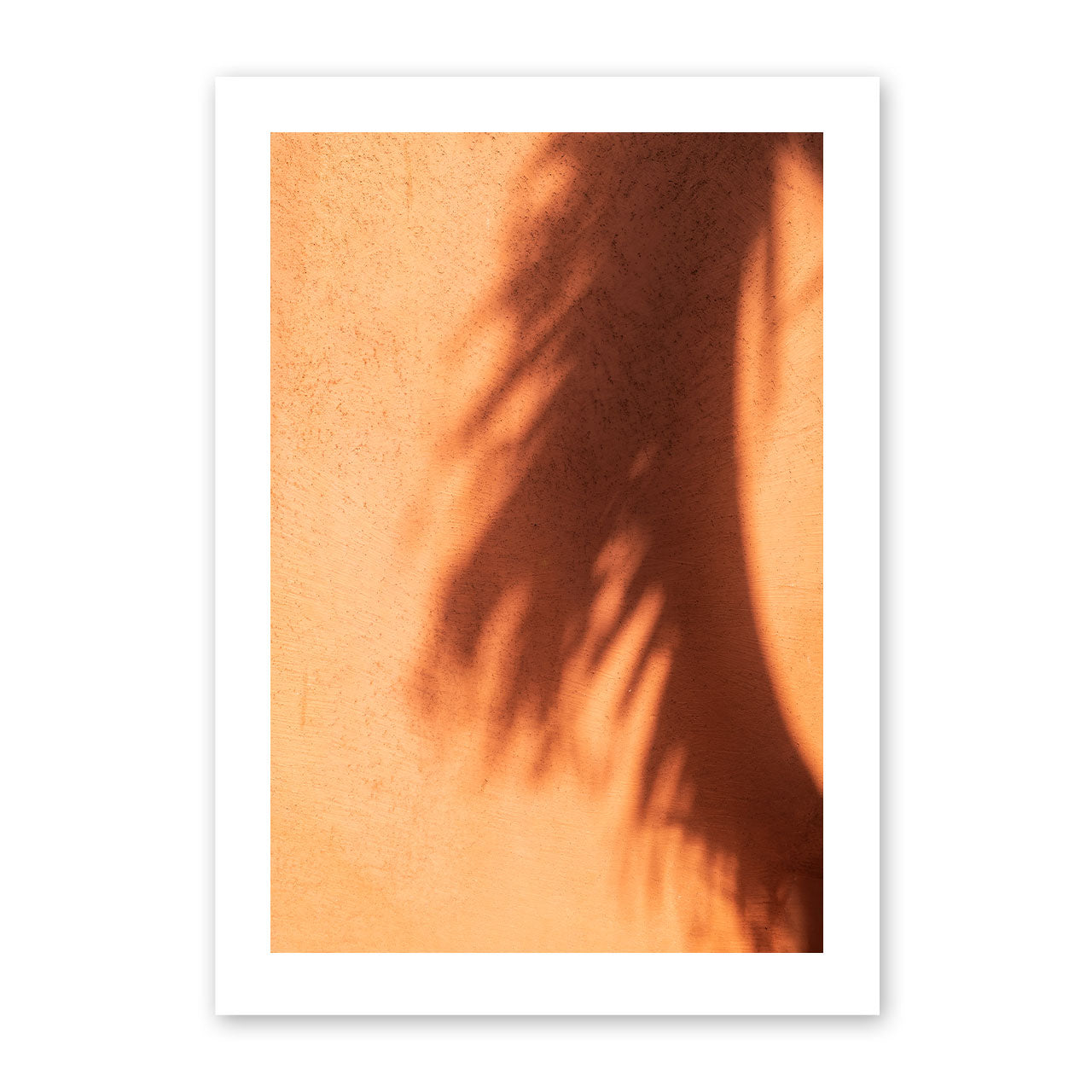 Artwork of a palm leaf shadow on a textured terracotta wall.