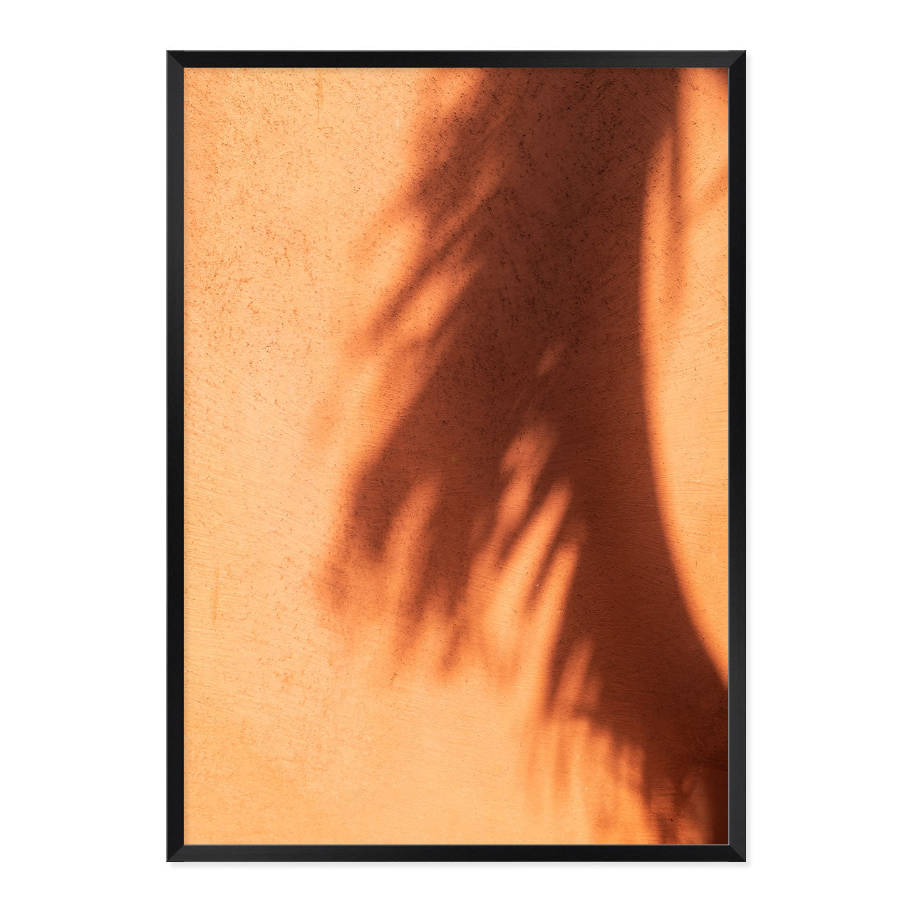 Framed artwork of a palm leaf shadow on a textured terracotta wall.