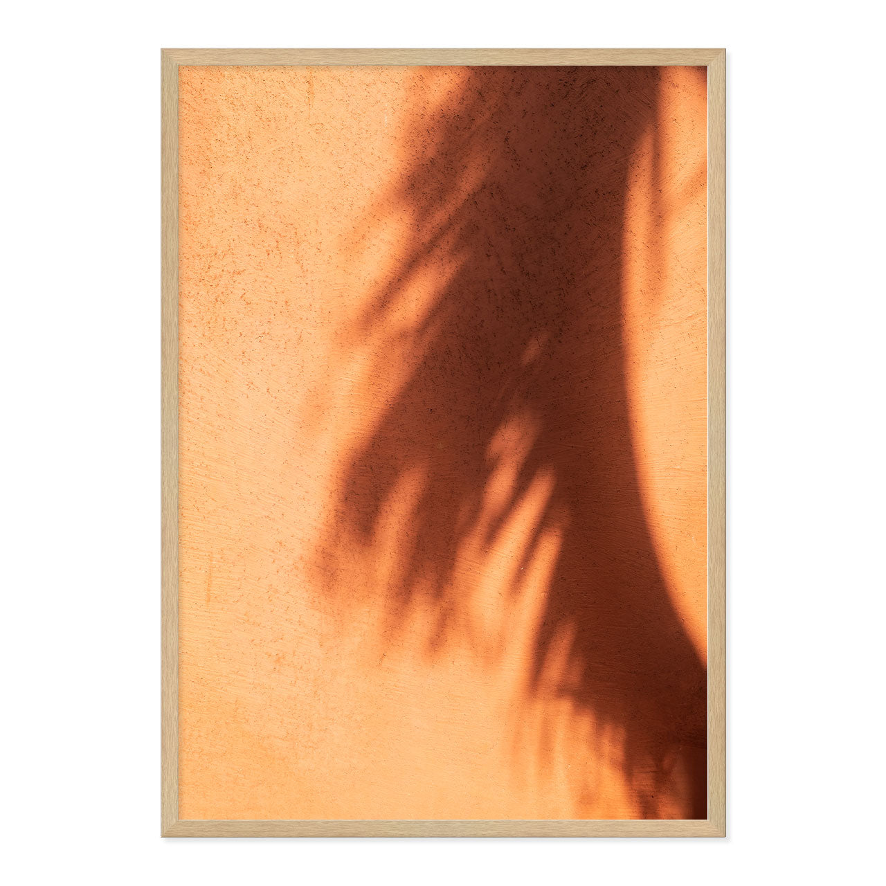 Framed artwork of a palm leaf shadow on a textured terracotta wall.