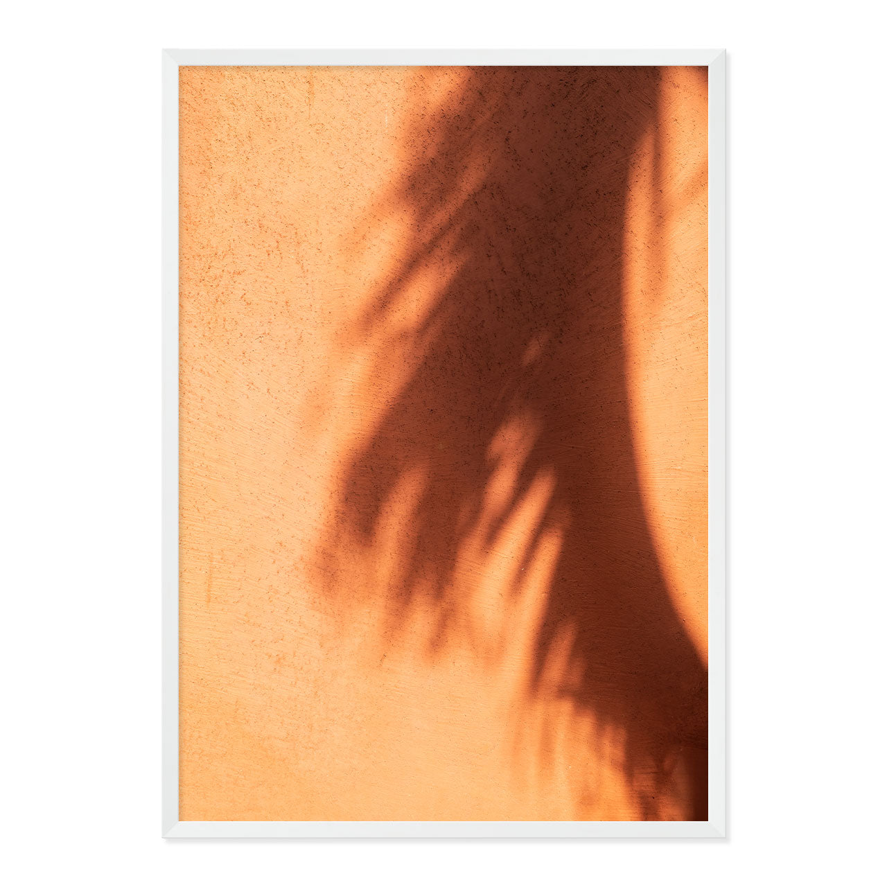 Framed artwork of a palm leaf shadow on a textured terracotta wall.