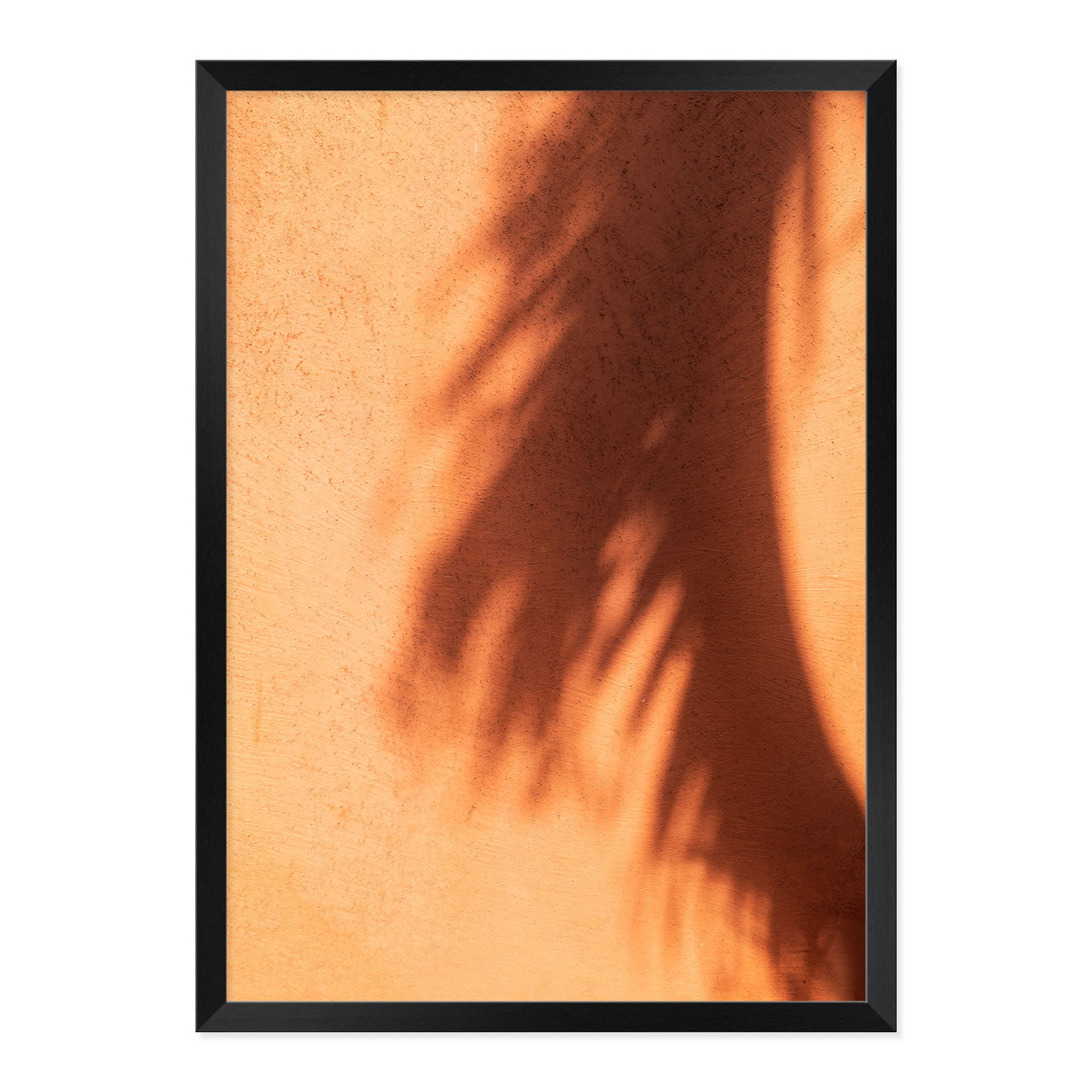 Framed artwork of a palm leaf shadow on a textured terracotta wall.