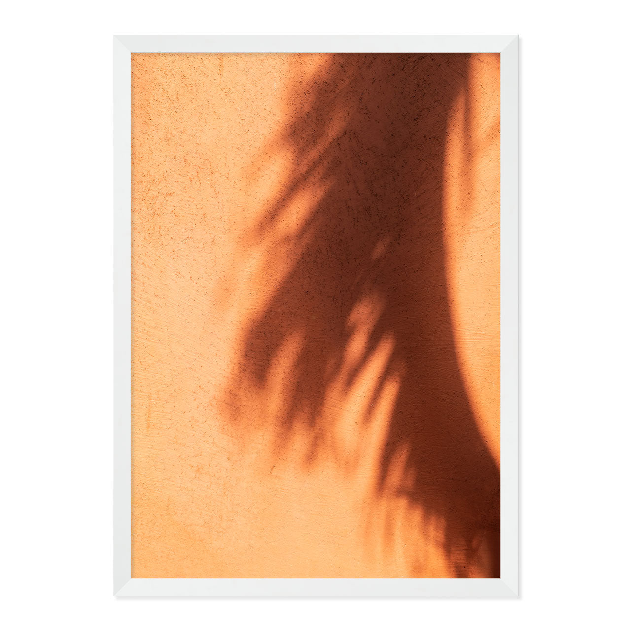 Framed artwork of a palm leaf shadow on a textured terracotta wall.