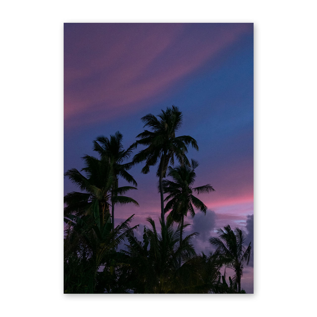 Artwork of palm trees against a purple sky