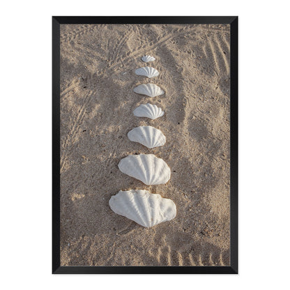 Framed photograph of seashells arranged in a line on sand