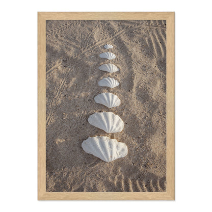 Clam Shells Print