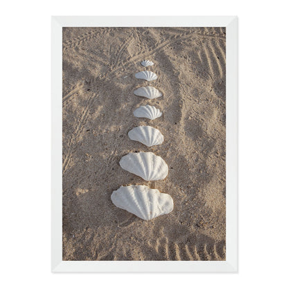 Clam Shells Print