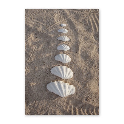 Clam Shells Print