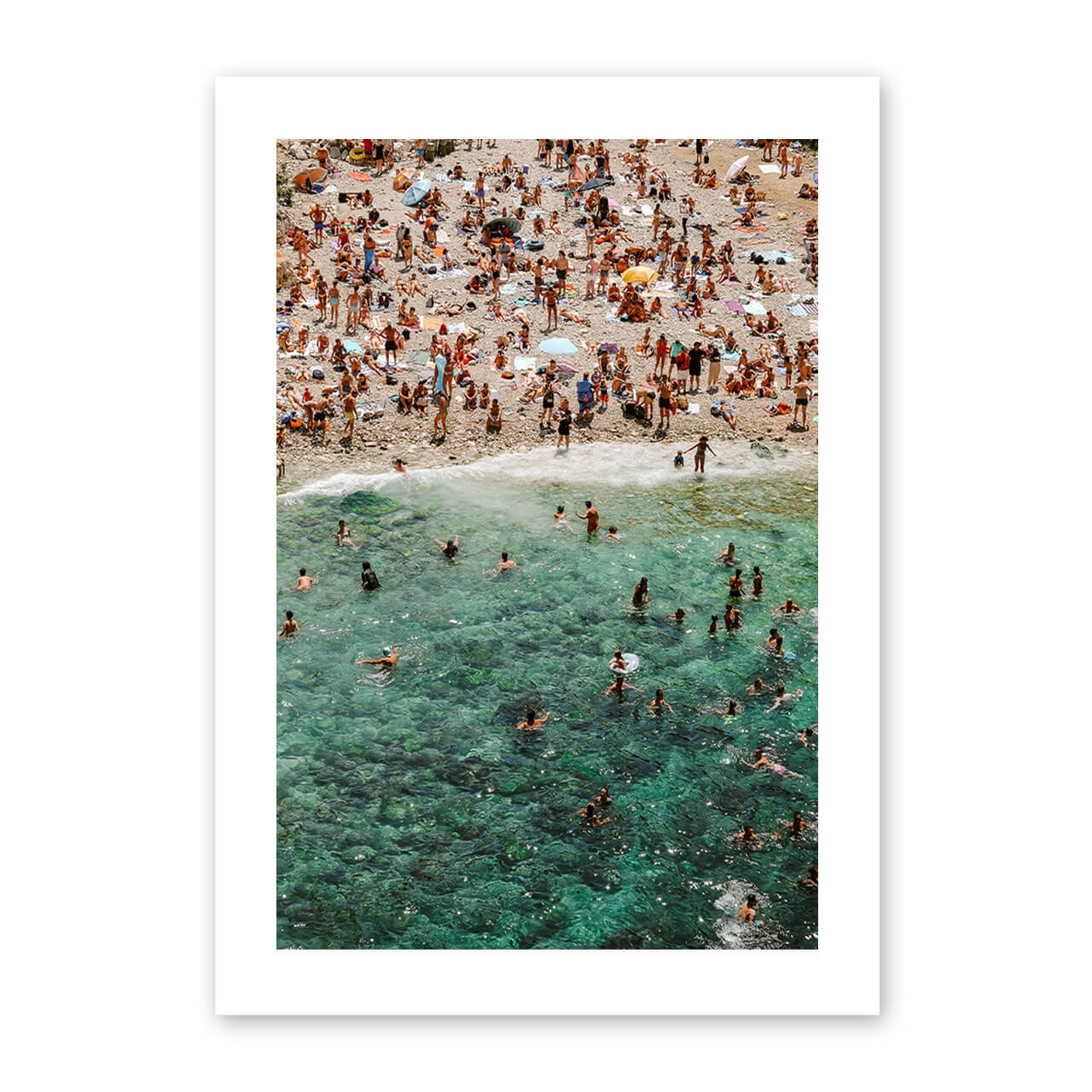 Summer Swimmers Print