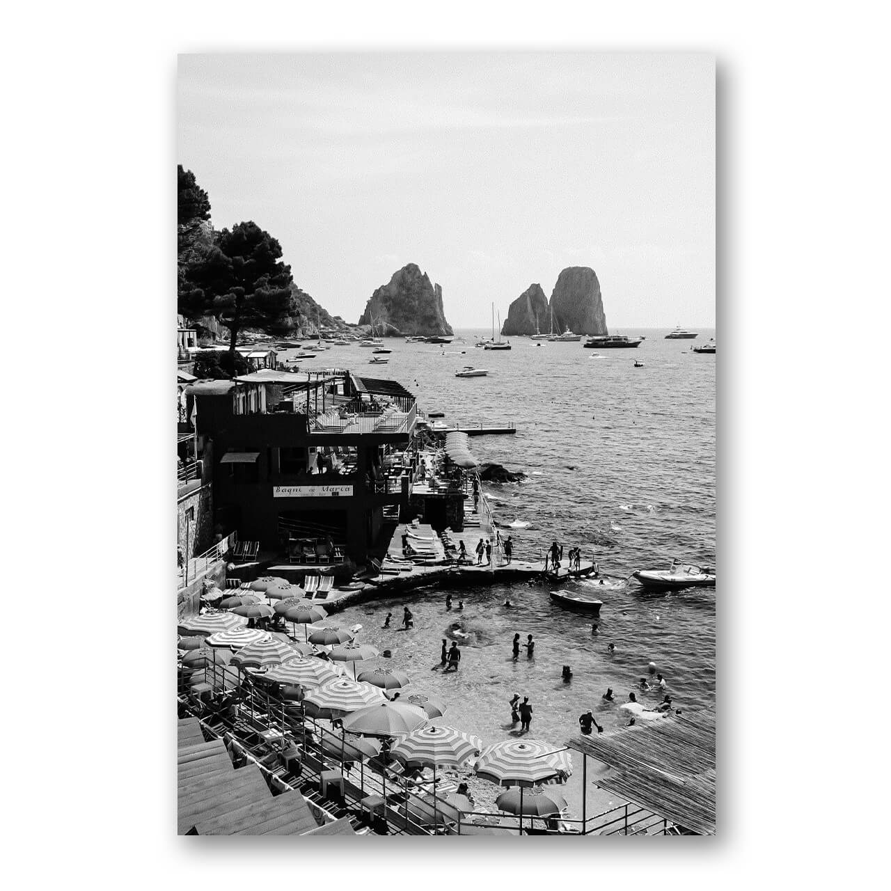 Black & White Capri Print