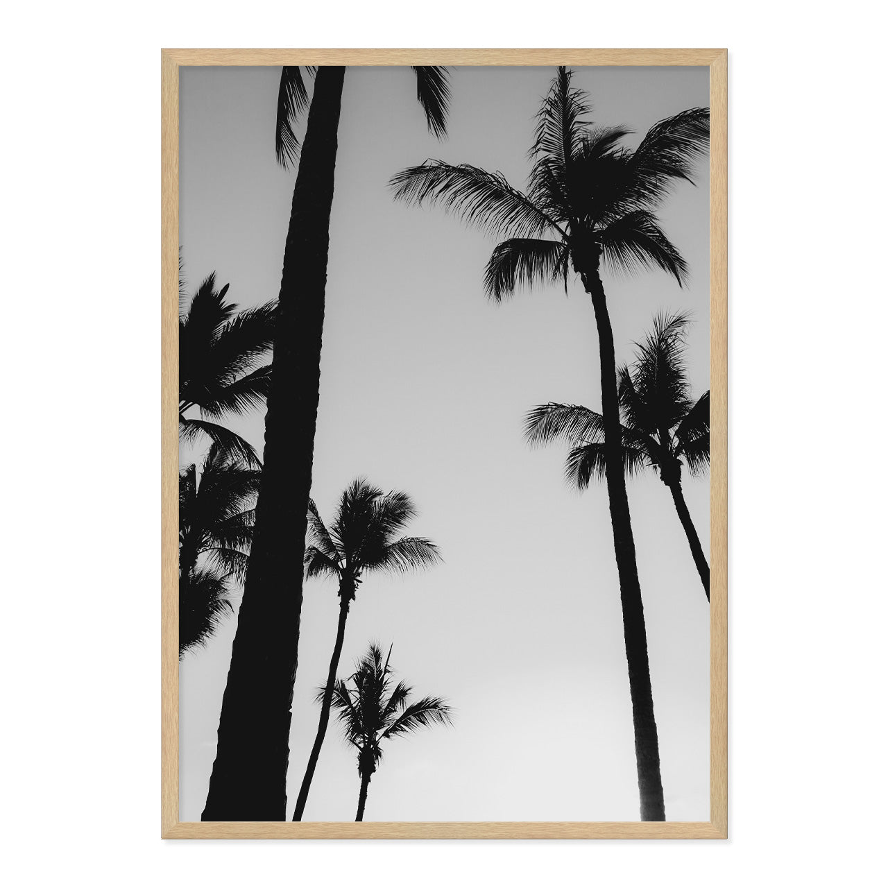 Black & White Palm Photo Print A1 Natural Timber Frame