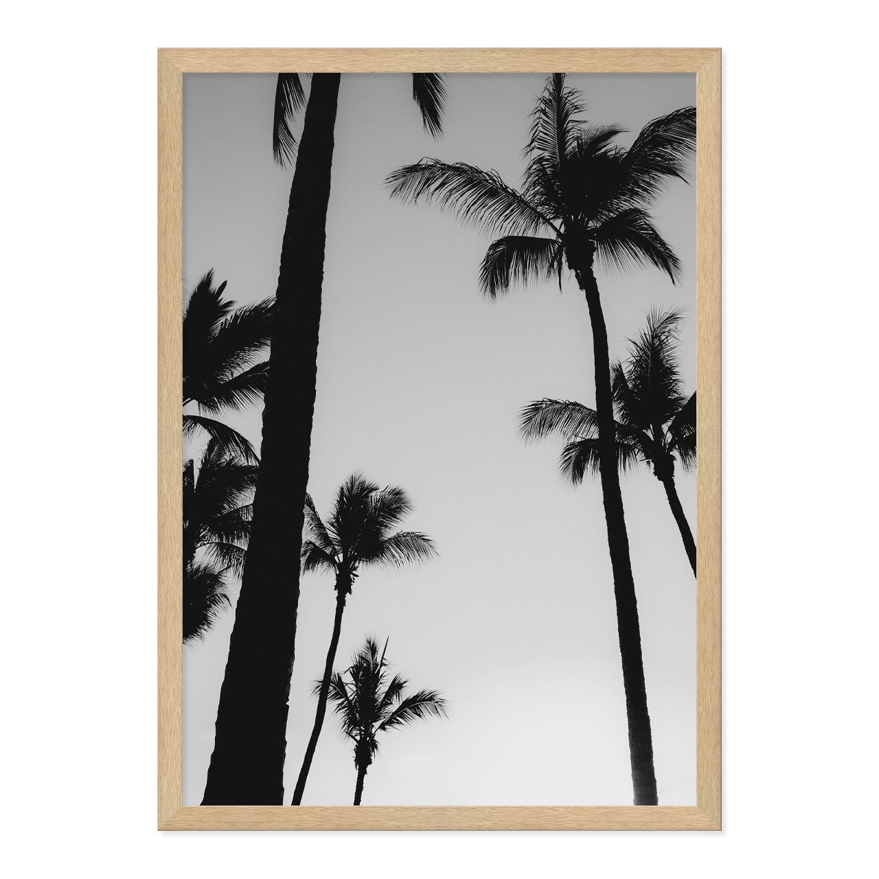 Black & White Palm Photo Print A2 Natural Timber Frame
