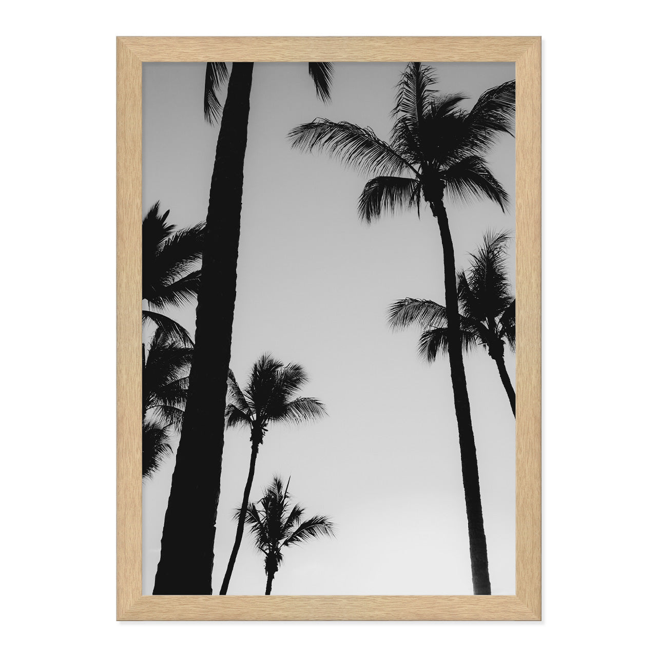 Black & White Palm Photo Print A3 Natural Timber Frame