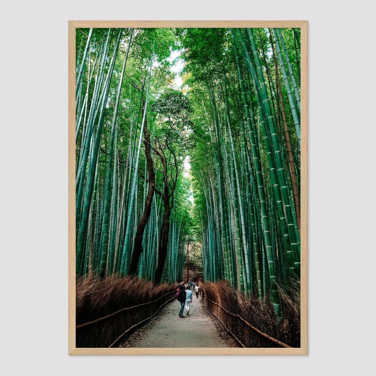 Bamboo Forest Photo Print A1 Natural Timber Frame