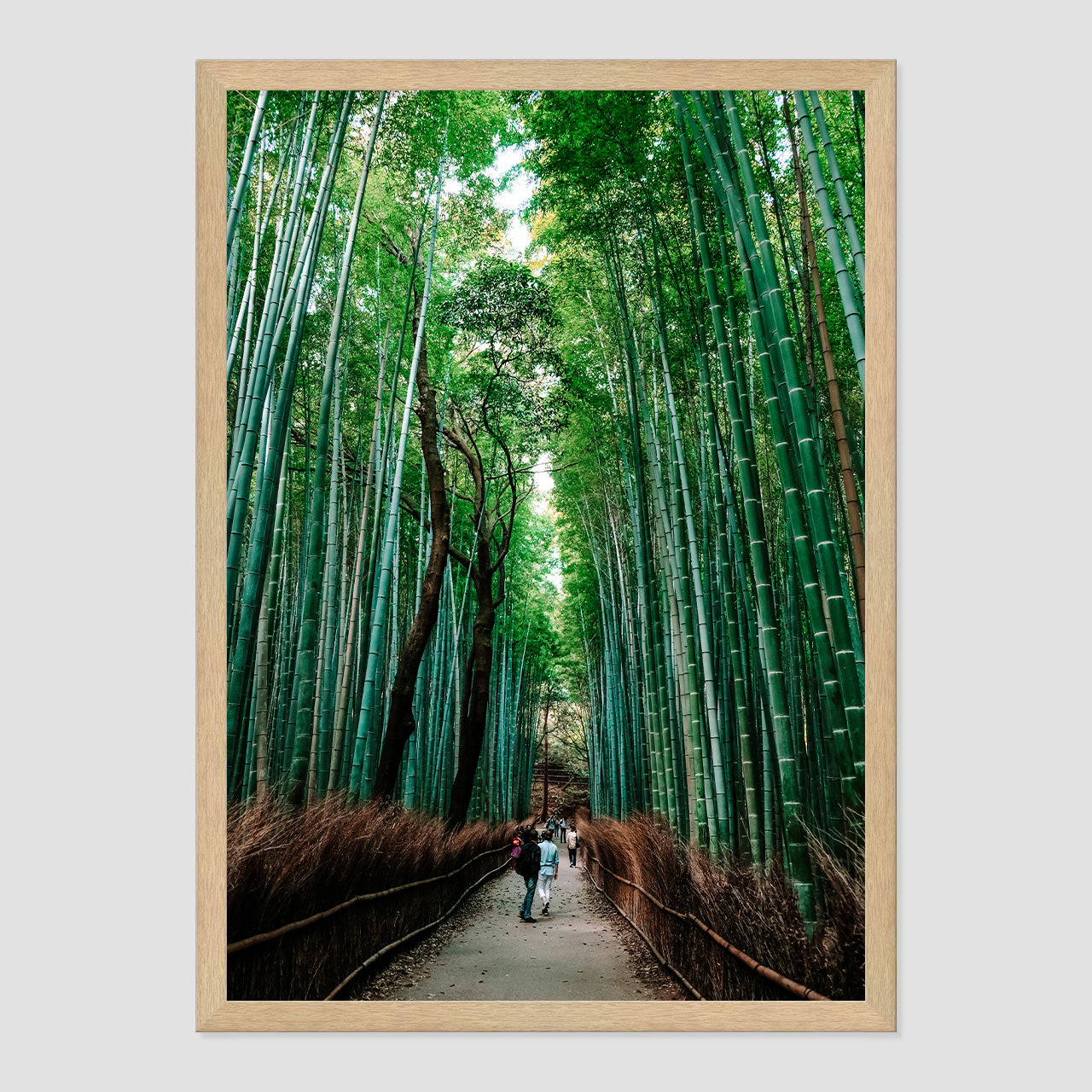 Bamboo Forest Photo Print A2 Natural Timber Frame