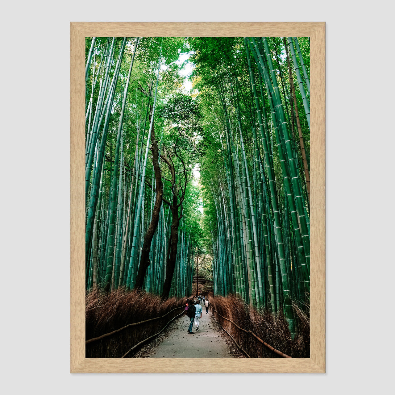 Bamboo Forest Photo Print A3 Natural Timber Frame