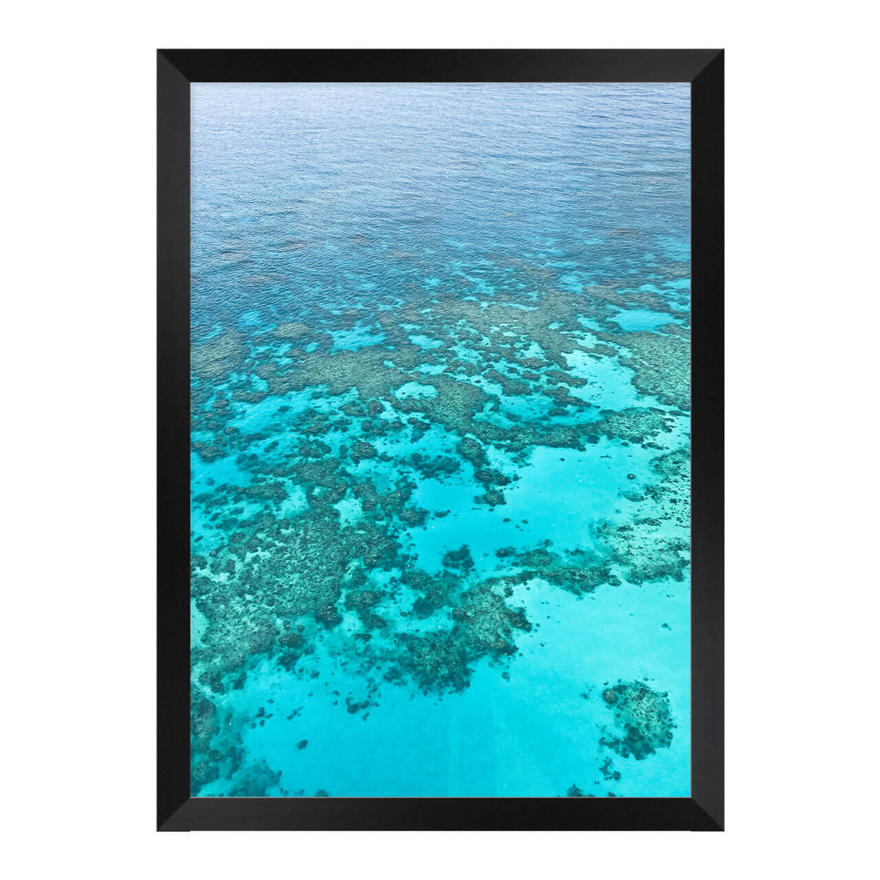 Barrier Reef Photo Print A3 Black Frame