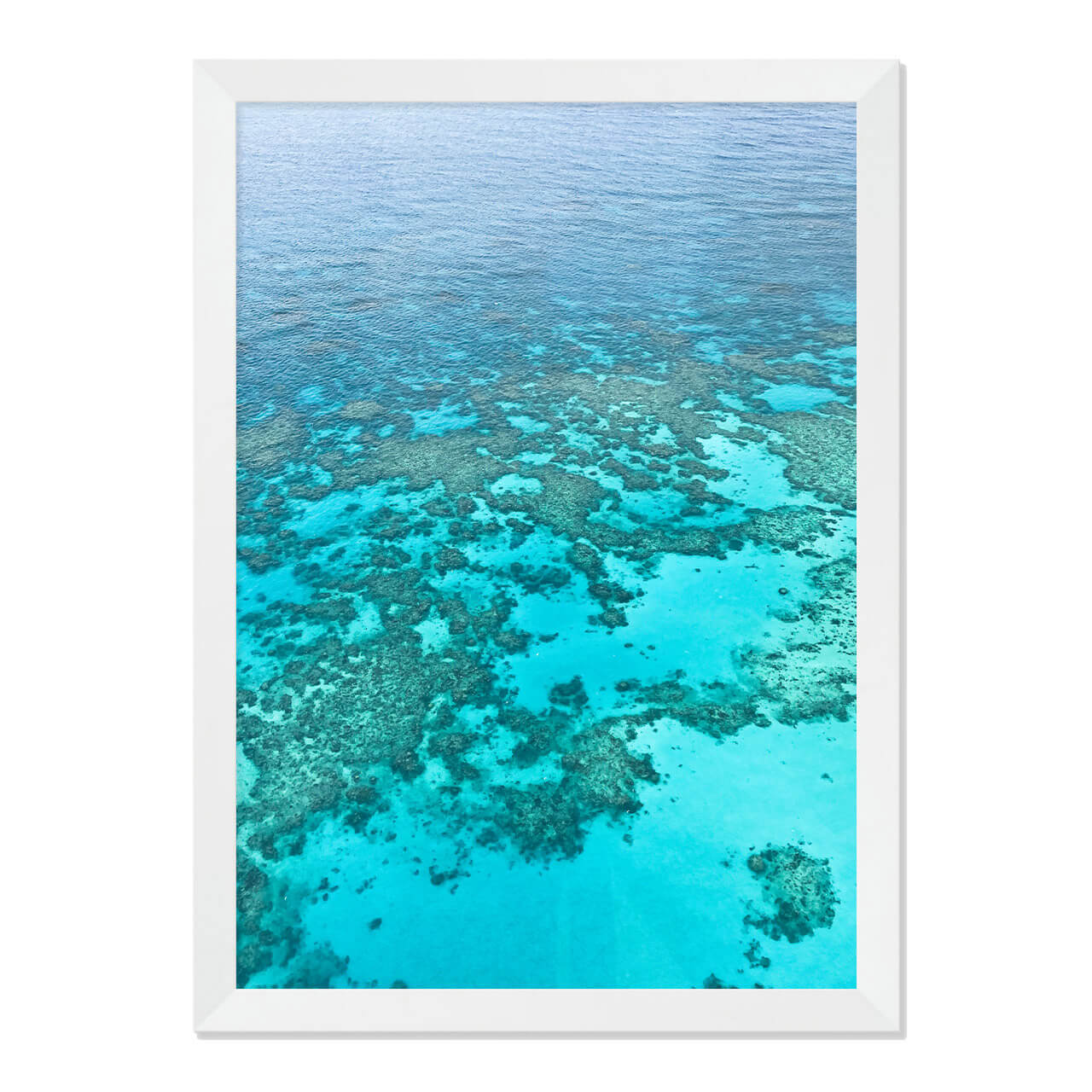 Barrier Reef Photo Print A3 White Frame