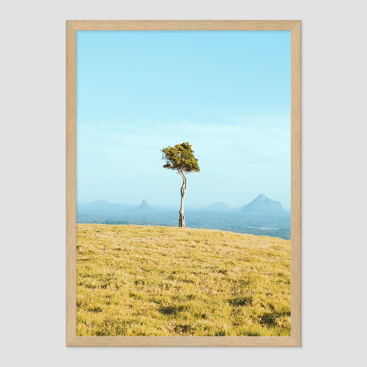 One Tree Hill Print
