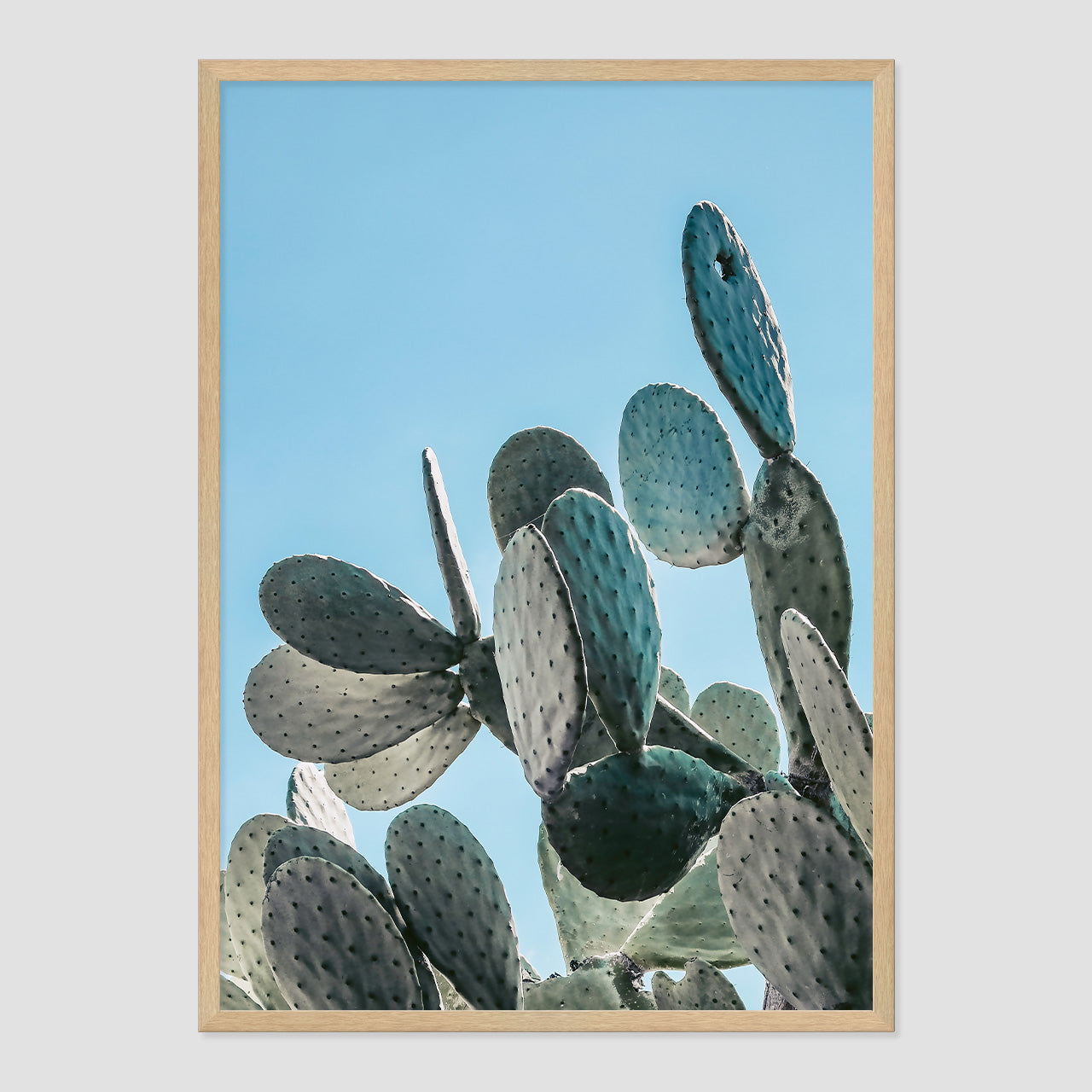 Prickly Pear Print