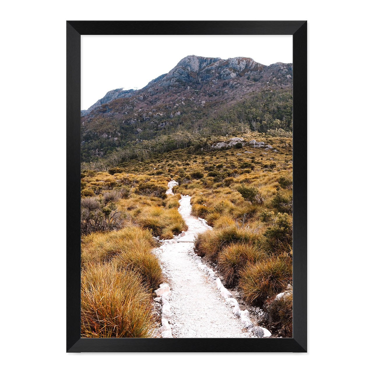 The Path Photo Print A1 White Frame