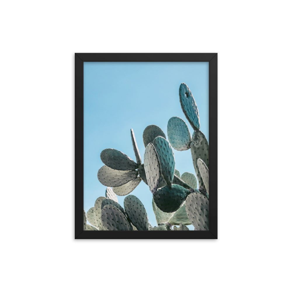 Prickly Pear Photo Print A2 Natural Timber Frame