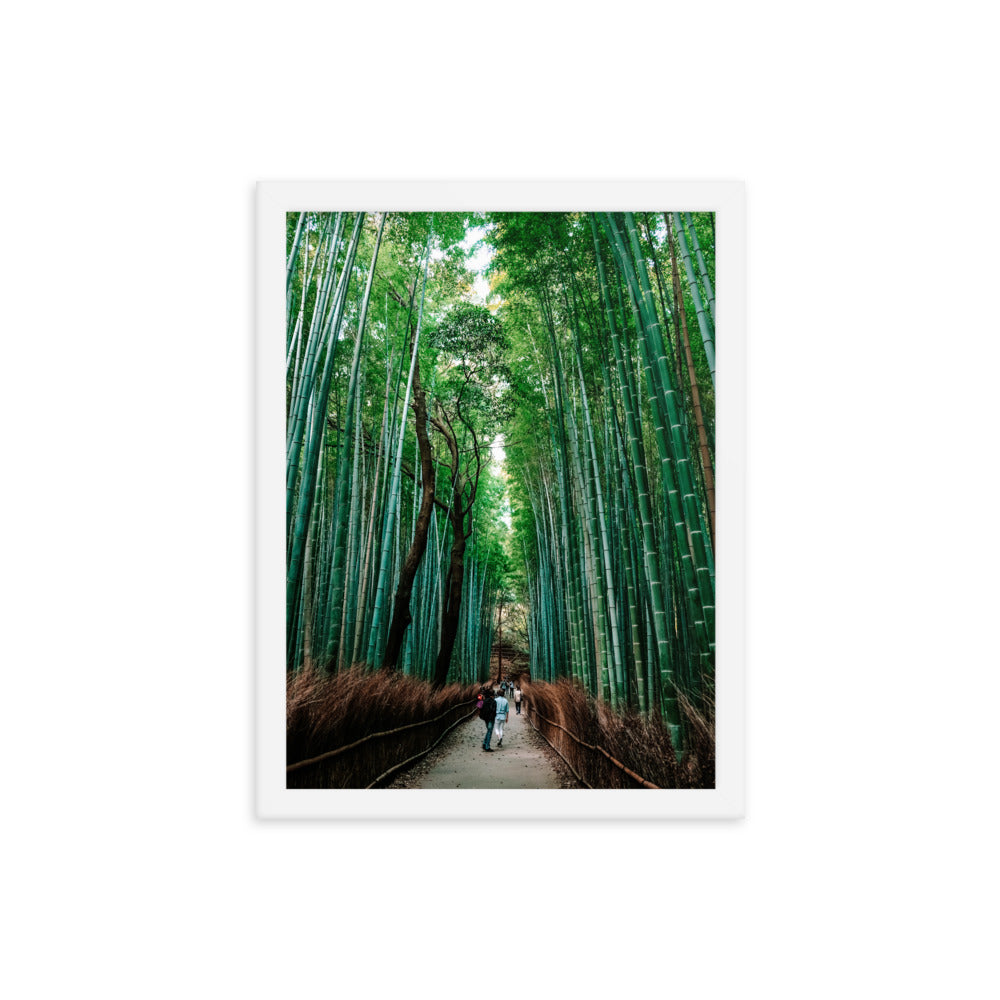 Bamboo Forest Photo Print A3 White Frame