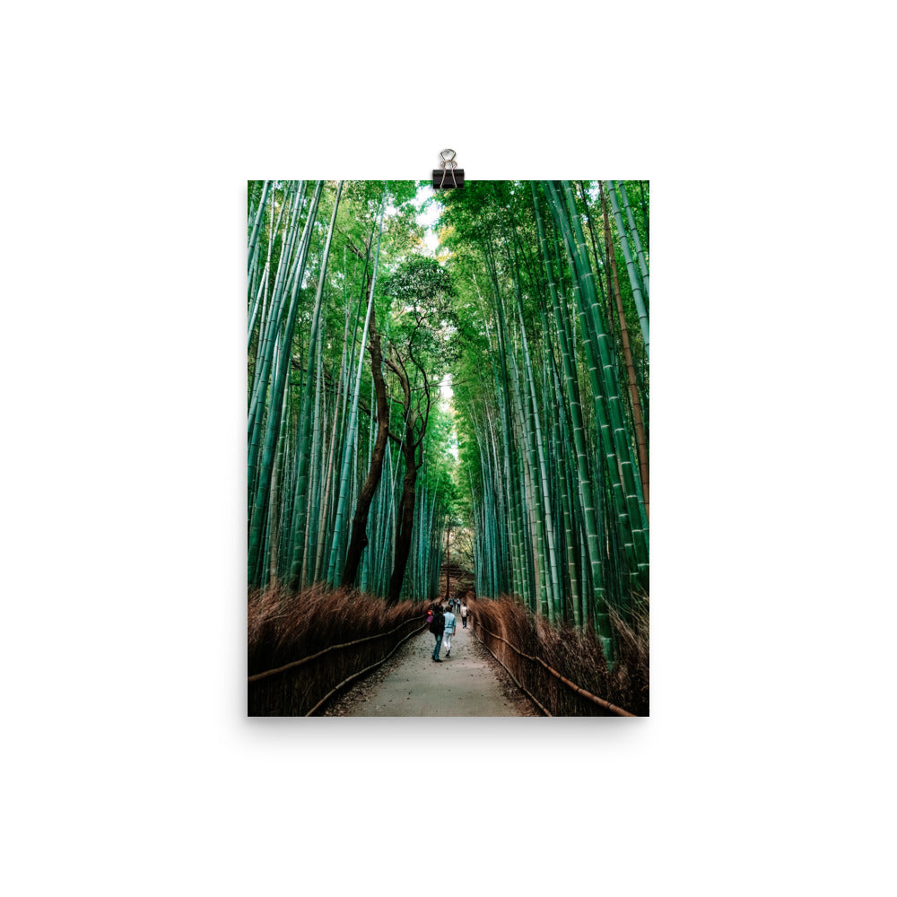 Bamboo Forest Photo Print