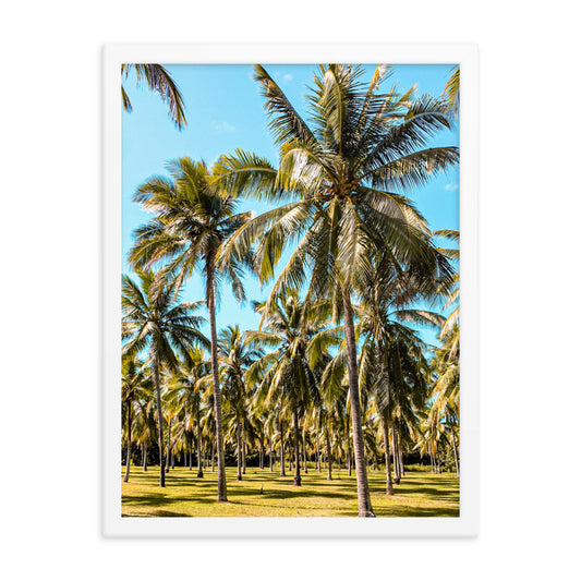 Palm Farm Print