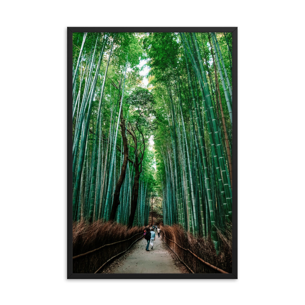 Bamboo Forest Photo Print A1 Black Frame