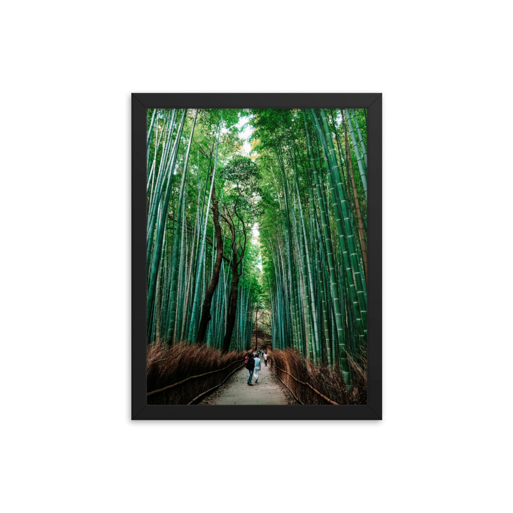Bamboo Forest Photo Print A3 Black Frame
