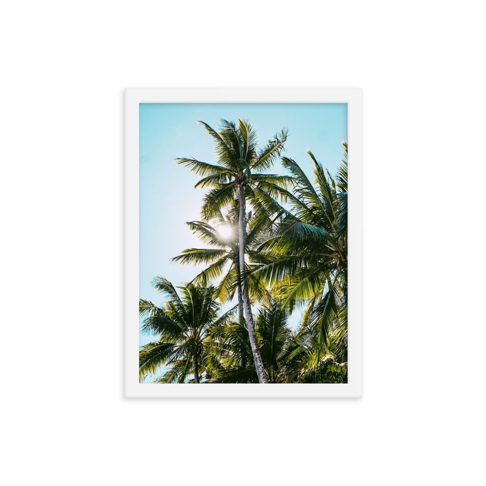 Palm Skies Print