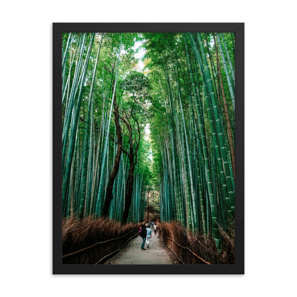 Bamboo Forest Photo Print A2 Black Frame