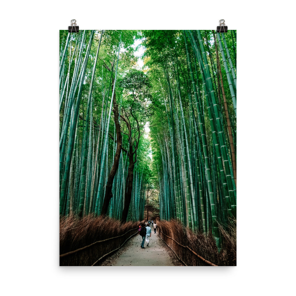 Bamboo Forest Photo Print