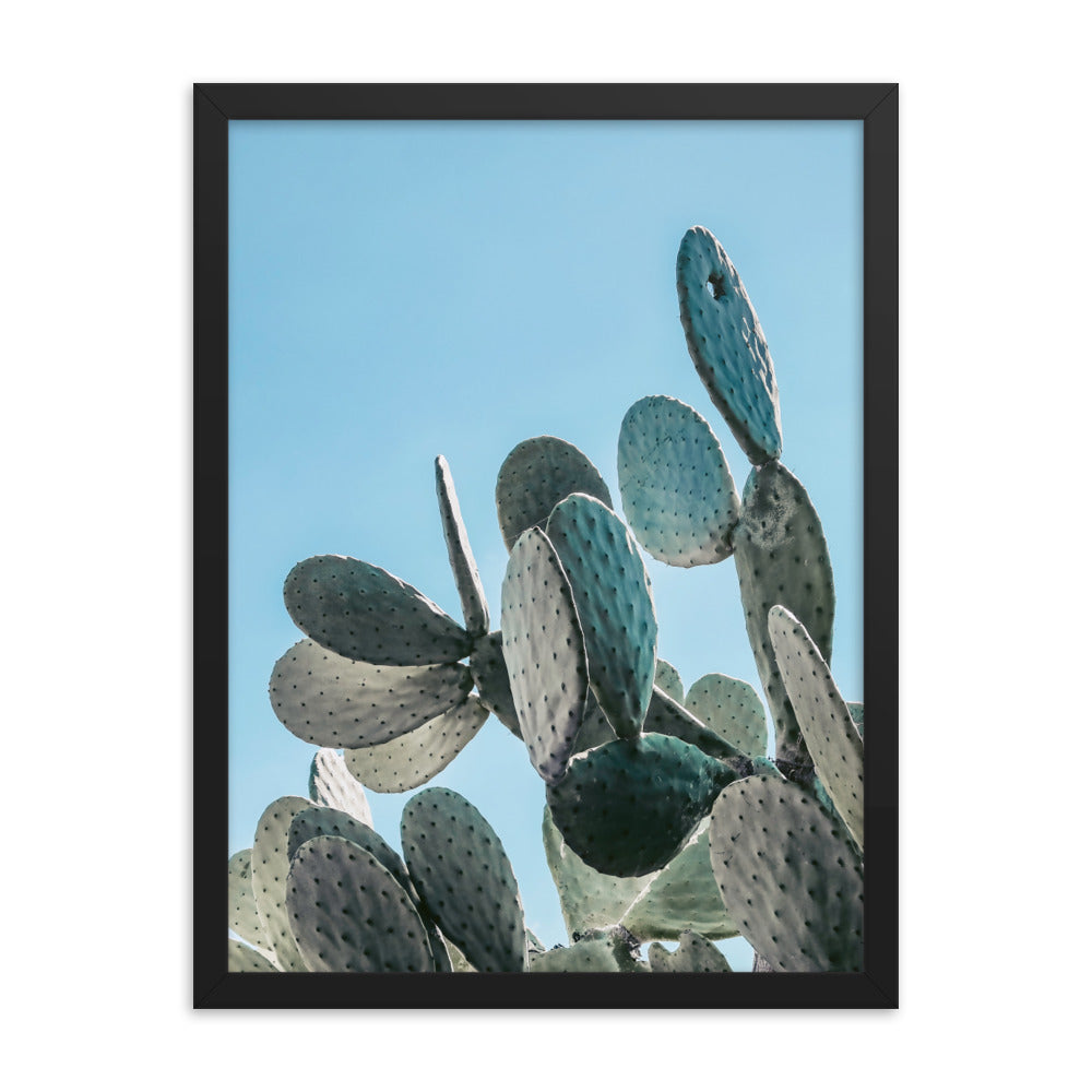 Prickly Pear Photo Print A1 Natural Timber Frame