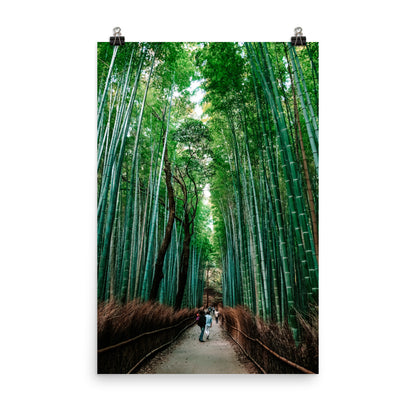 Bamboo Forest Photo Print