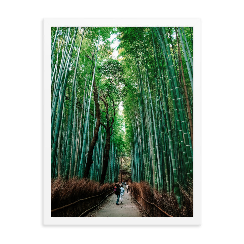 Bamboo Forest Photo Print A2 White Frame