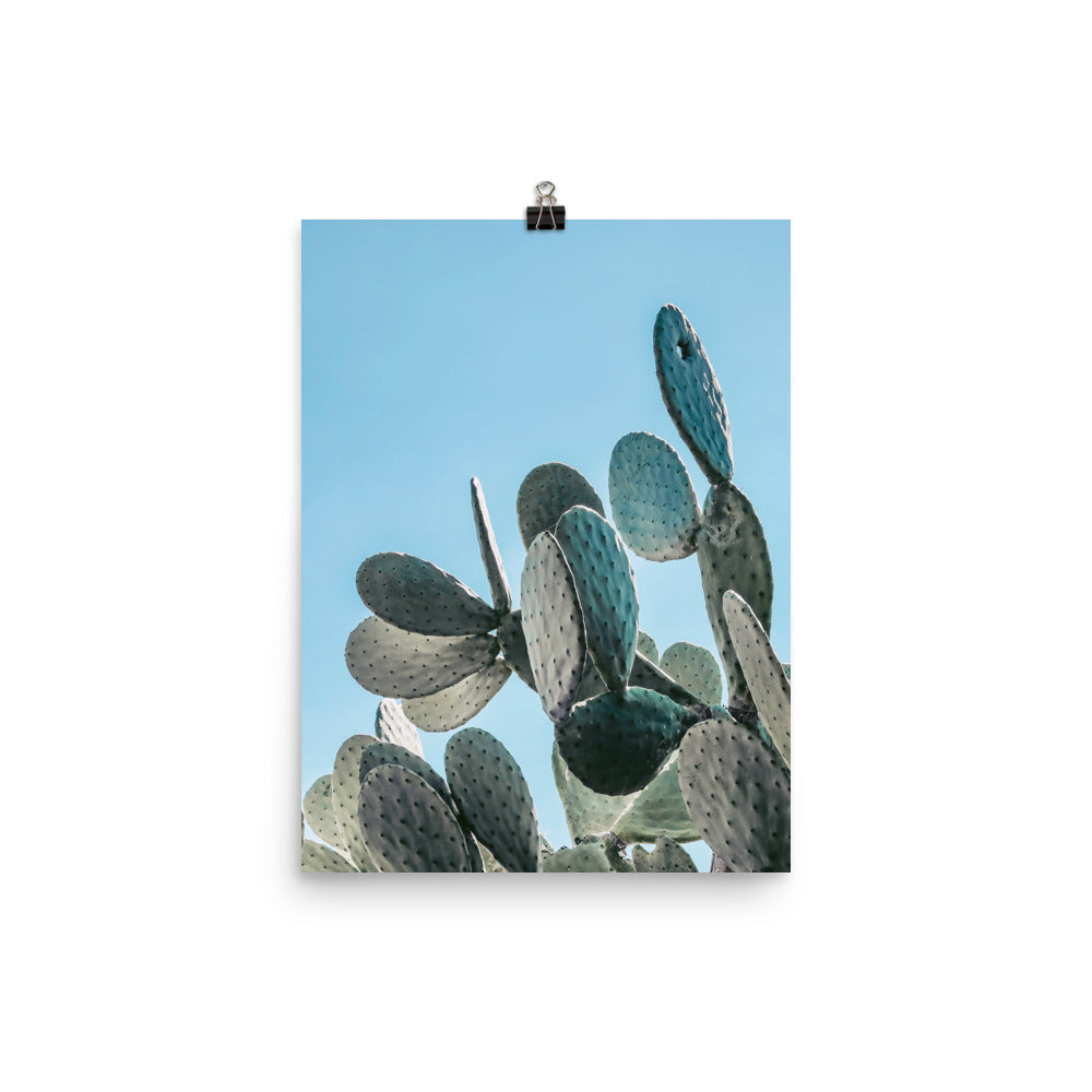 Prickly Pear Photo Print A1 White Frame