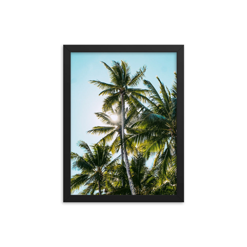 Palm Skies Print
