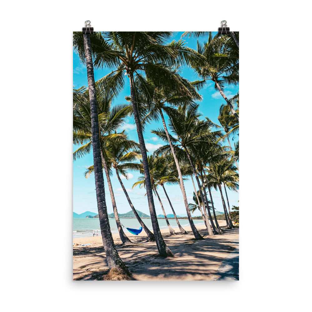 Palm Cove Print